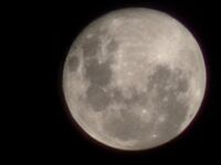 Profilbild Nelson Dos Santos