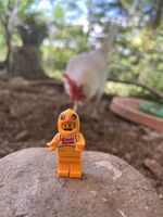 Profilbild Christoph Bartsch